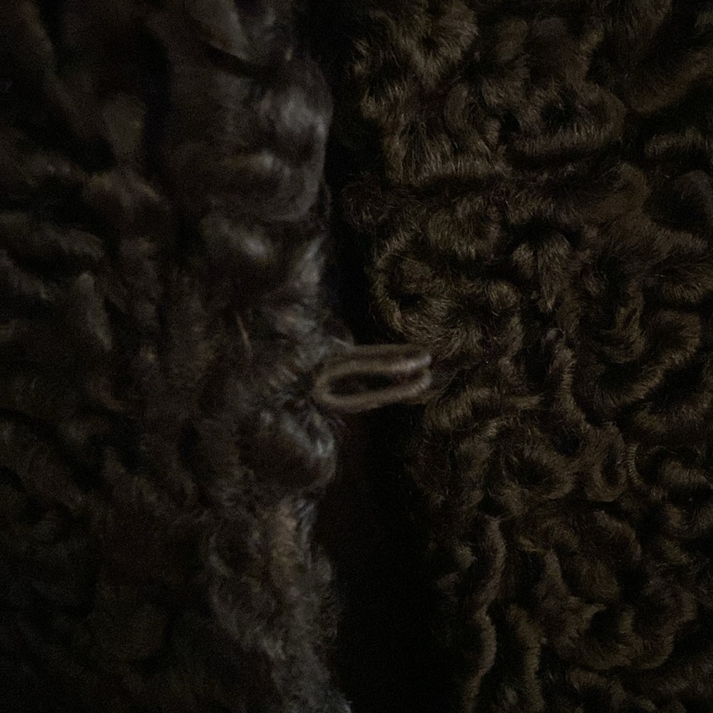 FUR - Picture 12 of 14
